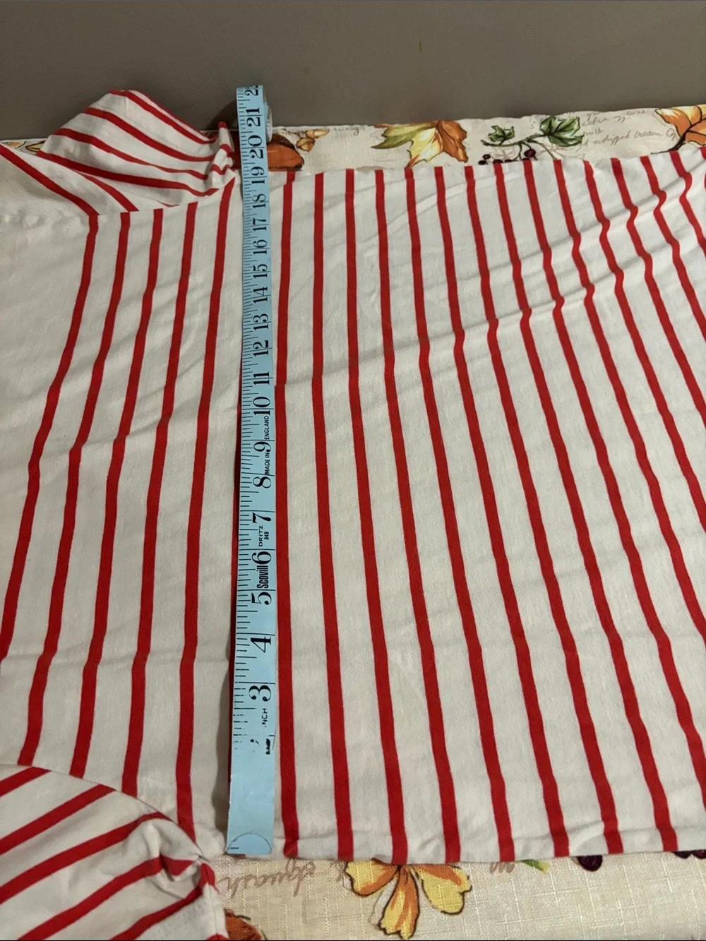 J. Crew Cream Tee with Red Horizontal Stripes